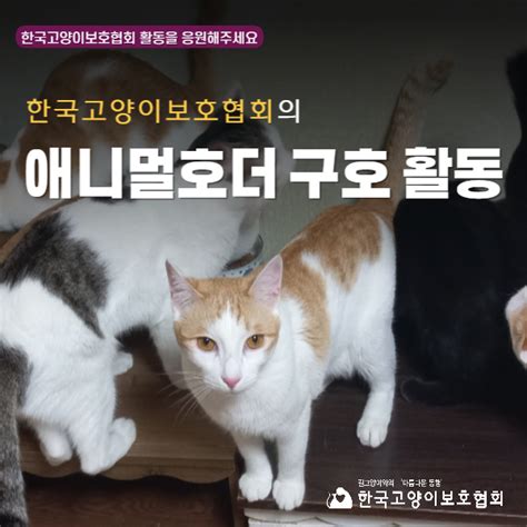 한국고양이보호협회 고보협